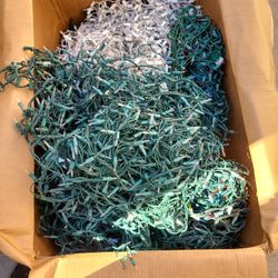 Christmas tree lights for house entry and yard