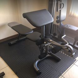 Golds Gym XRS20 - Olympic Weight Lift Bench (mixed Screws) 
