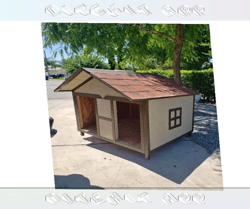 morning require Build the Ultimate Dog Home - Style and Comfort Excellence