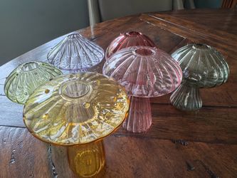 Mushroom plant propagation stations - 6