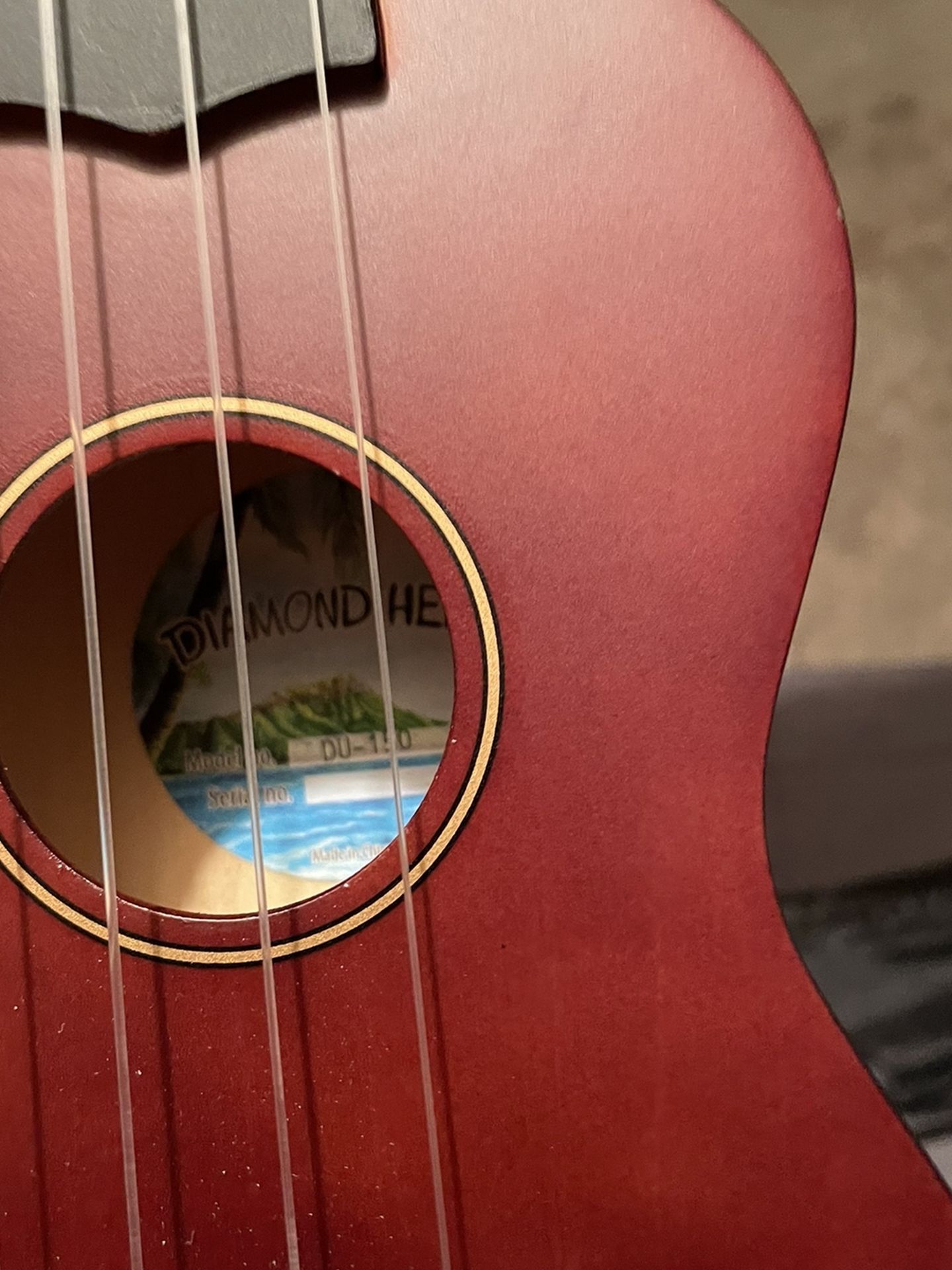 Kids Ukulele