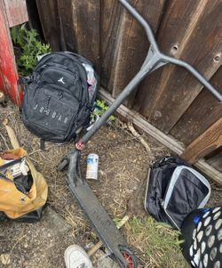 ethics Pro scooter