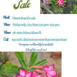 EXTENDED 7:30am-10am. PLANT SALE!! BEAUTIFUL DESERT ROSE AVAILABLE NOW