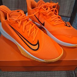New Nike Size 10.5M