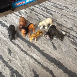 Maison Joseph Predator Pack