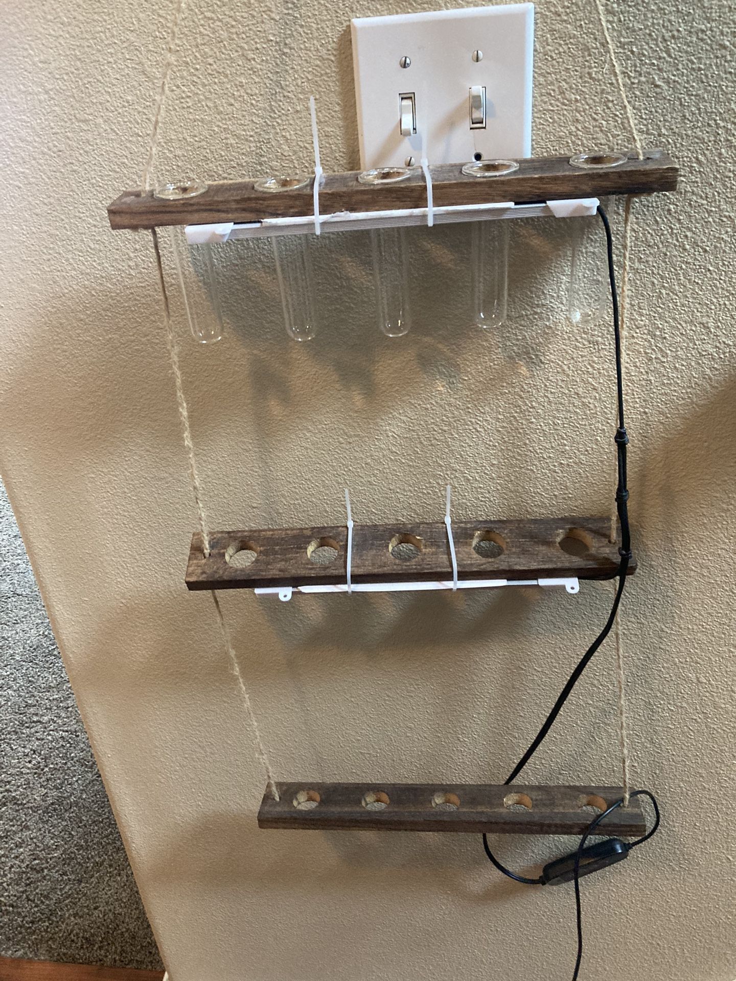 Plant Hanger - Pending Pick Up