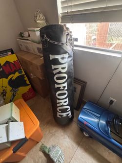 Proforce punching bag