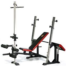 Gold's Gym XR5 Olympic Bench, Weight Plate Stand, Curling Bar, & 300 Pounds