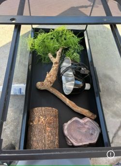 Reptile Terrarium with Accessories