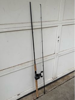 Casting rod and reel