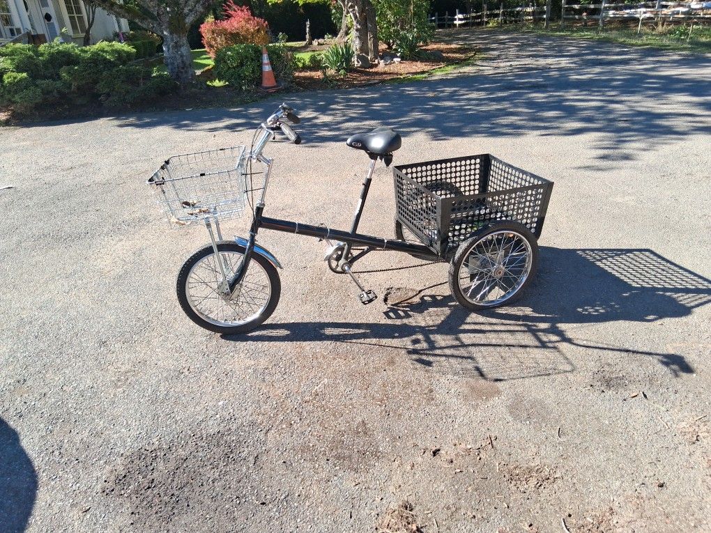 2 Workmanship Adult Tricycles
