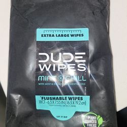 Travel Packs DUDE wipes 