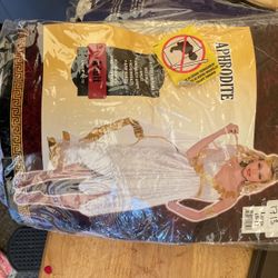 Halloween 🎃 Costume 