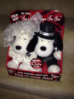 Wedding stuff animals dog play music