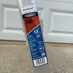 Werner MT-13 Ladder