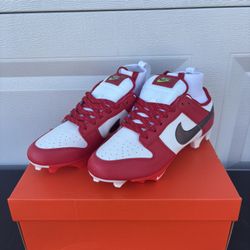 Red Nike Vapor Dunks 