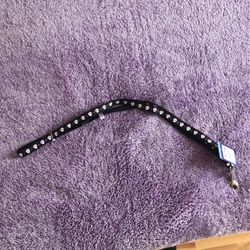 6 ft Cat Leash