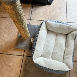 Cat Bed & Scratch Post