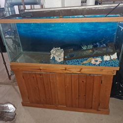 All You Need To Have A Beautiful Aquarium 