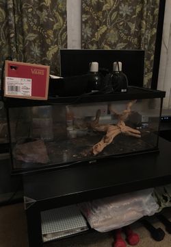 Reptile aquarium