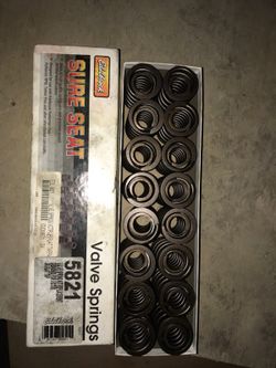 Victor jr head valve springs