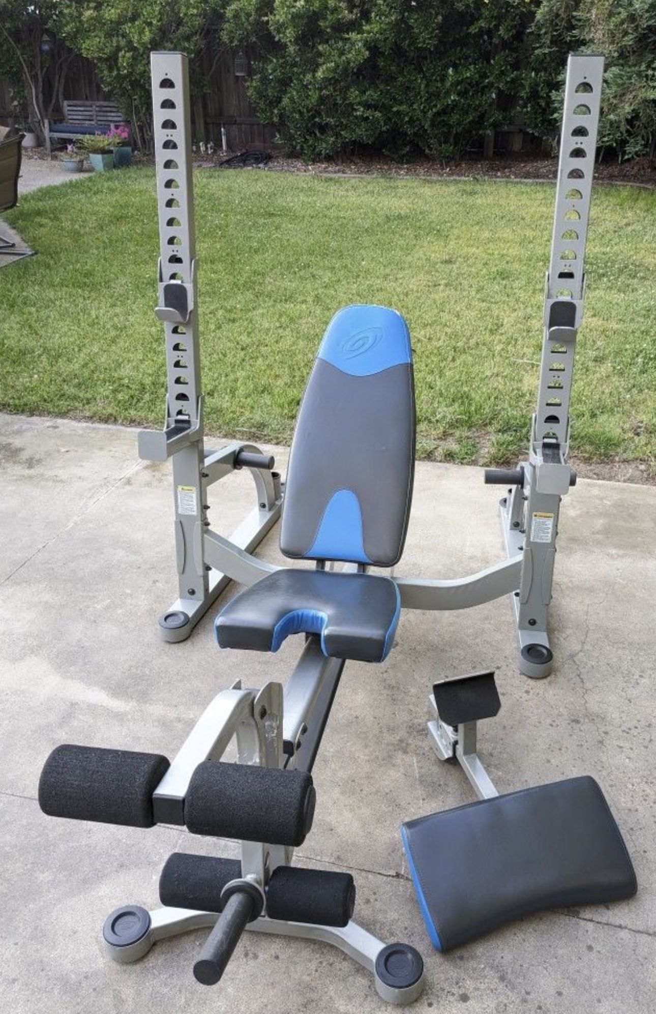 Folding Nautilus Olympic Weight Bench ( Bench Only)
