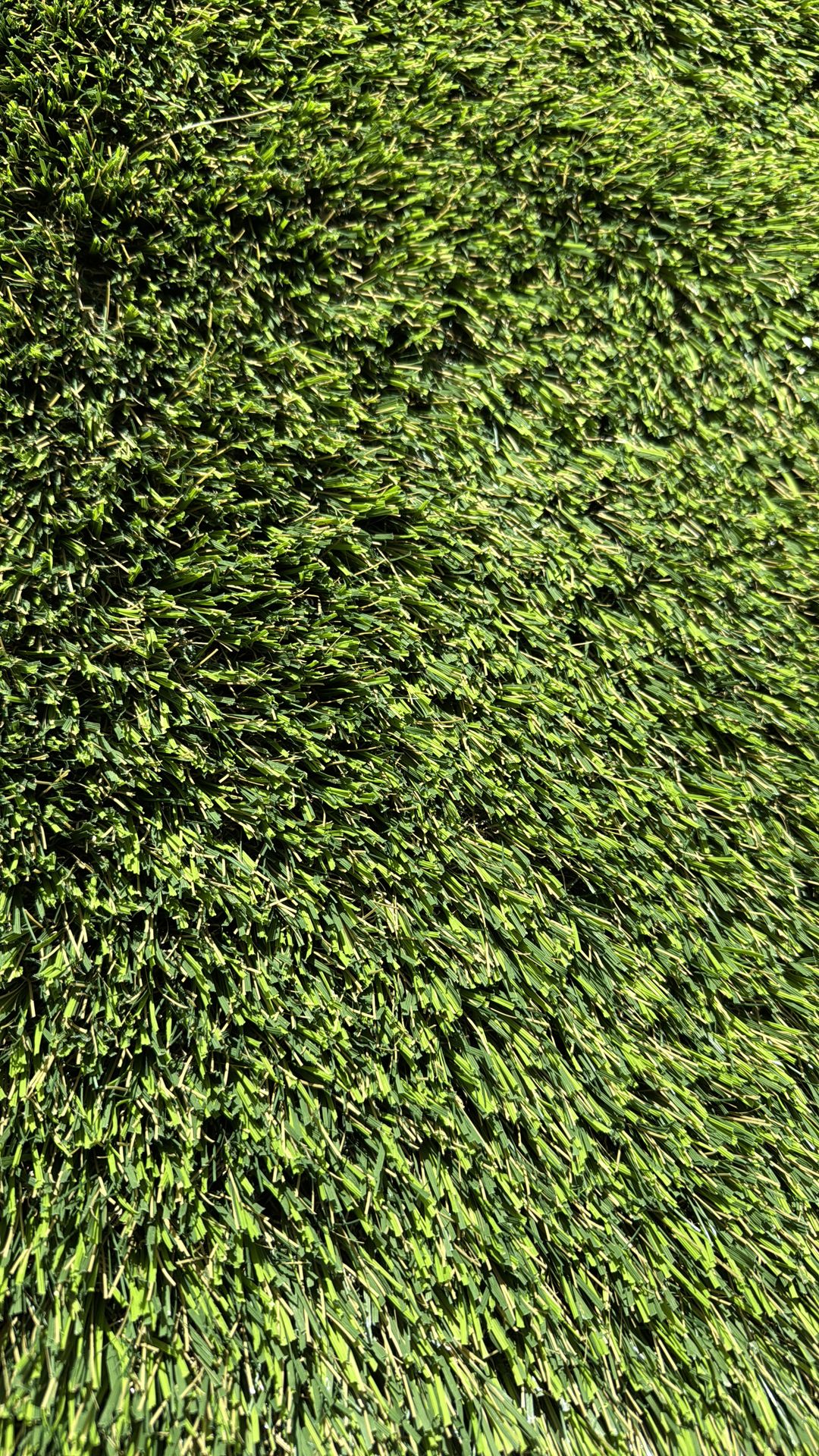 New turf for sale 3.5 ft x 11.4 ft $ 40 dlls