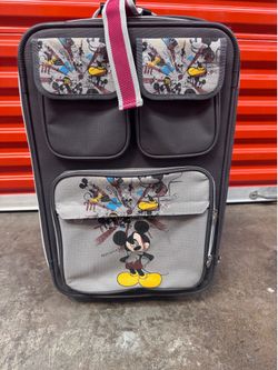 Disney Skyway luggage suitcase.