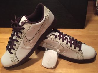 Nike sb mc hammers