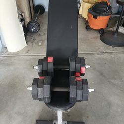 Weight And Bench