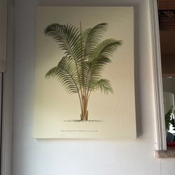 Palm Tree Canvas