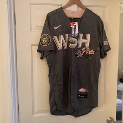 Nike Authentic Washington Nationals City Connect Blank Jersey