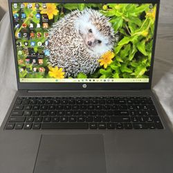HP G10 Notebook 