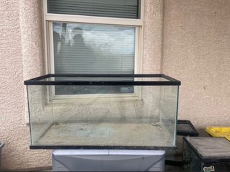 Large Glass Aquarium Tank with Black Frame