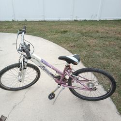 2 Schwinn Bicycles NEED WORK 