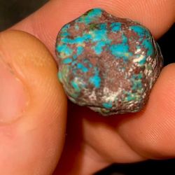  Bisbee Turquoise 