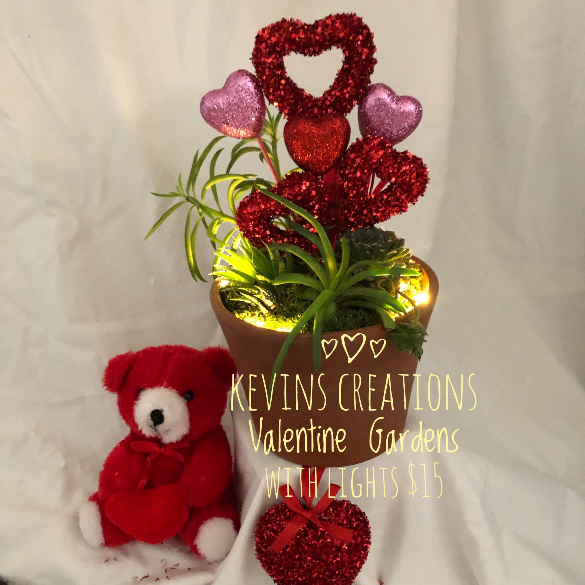 Kevin’s Creations Valentine Dish Gardens With Lights And Live Succulents $15