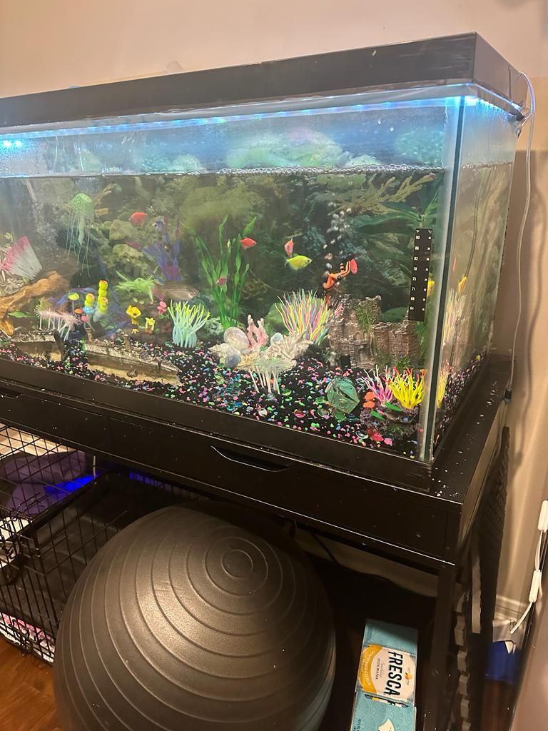 75 Gallon Fish Tank