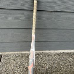 Softball Bat 