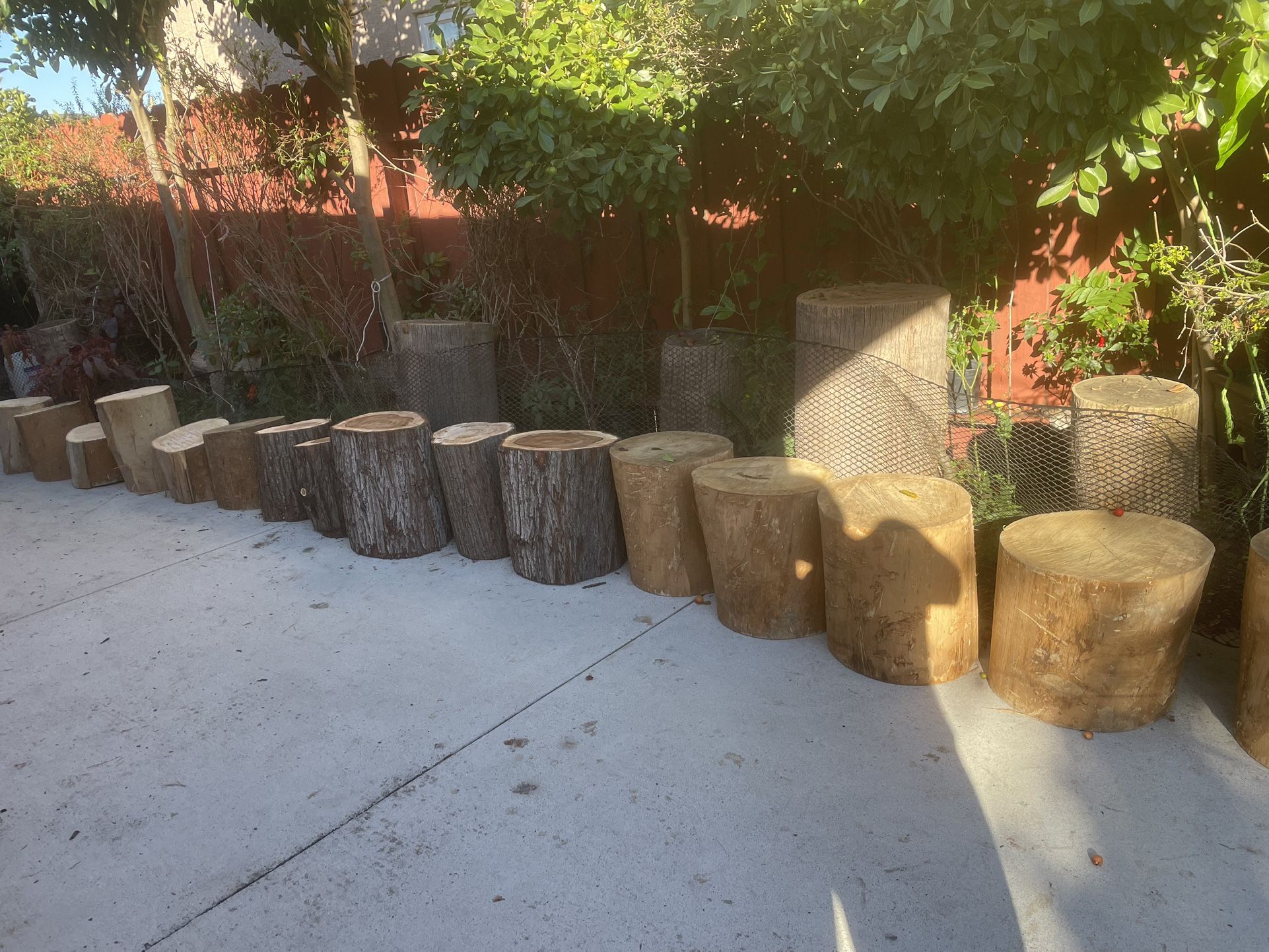 Wood Stumps