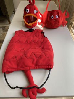 Pottery Barn kids Red Fish Costume
