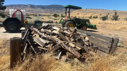 A lot of firewood