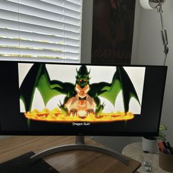 LG UltraWide Monitor 29inch