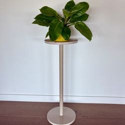 Plant Stand or Side Table 