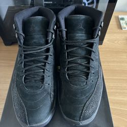 Jordan 12 OVO SZ 9.5