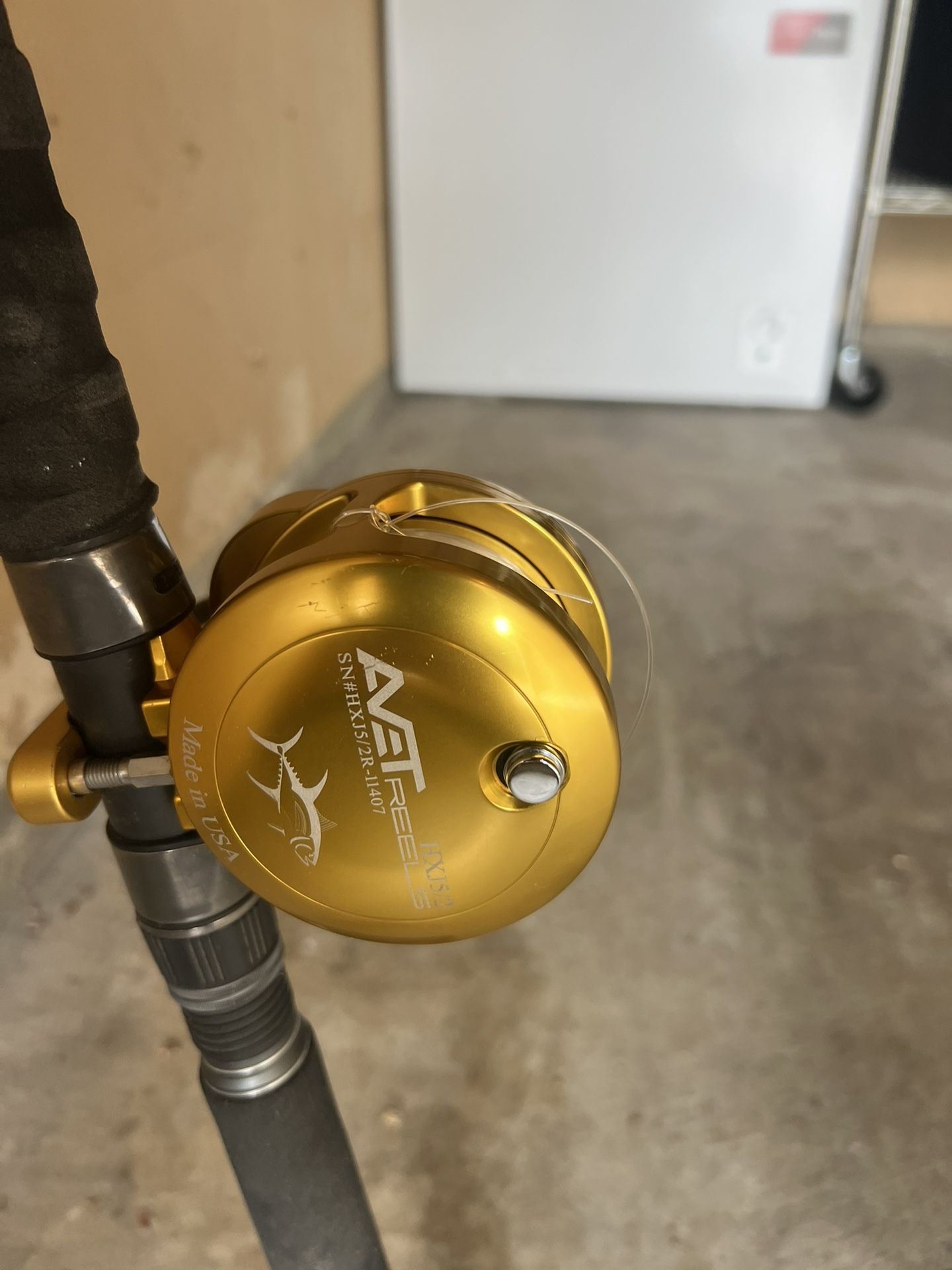 Avet HXJ with Phenix Axis