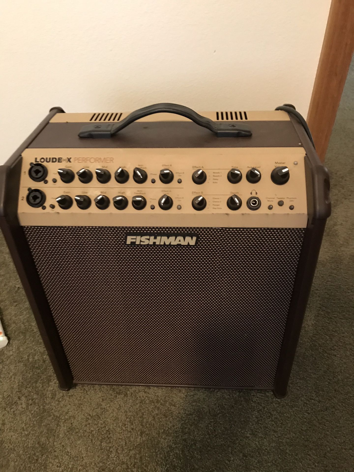 Acoustic guitar amp for Sale in Pearblossom, CA OfferUp