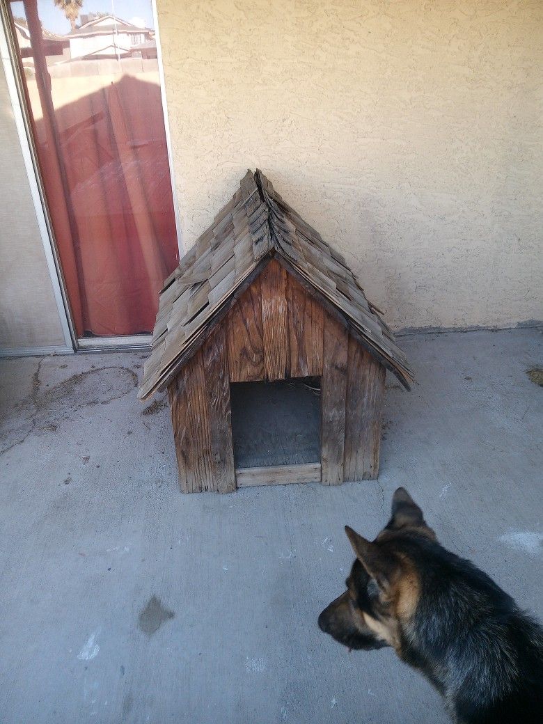 Dog House