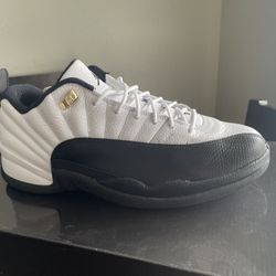 Air Jordan 12s