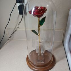 The Forever Rose In Stunning Display 24 Karat Gold Dipped